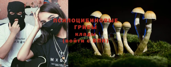 apvp Зерноград