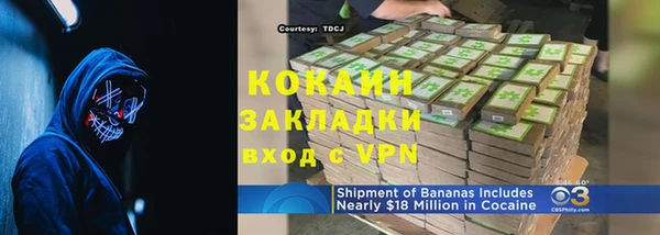гашик Инта