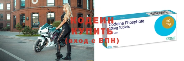 гашик Инта