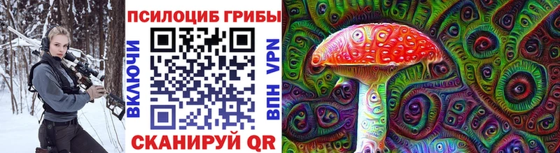 Псилоцибиновые грибы прущие грибы  МЕГА tor  Карабаново  где купить  